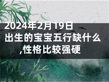 2024年2月19日出生的宝宝五行缺什么,性格比较强硬