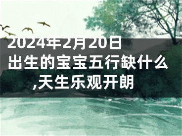 2024年2月20日出生的宝宝五行缺什么,天生乐观开朗