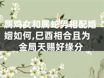 属鸡女和属蛇男相配婚姻如何,巳酉相合且为金局天赐好缘分