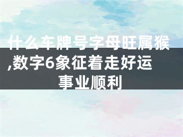 什么车牌号字母旺属猴,数字6象征着走好运事业顺利