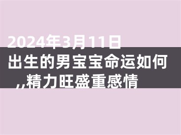 2024年3月11日出生的男宝宝命运如何,,精力旺盛重感情