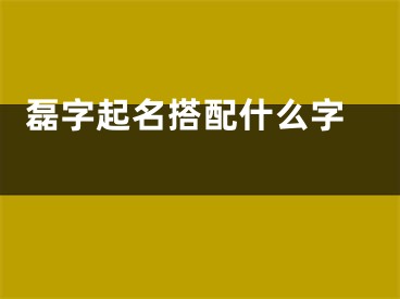  磊字起名搭配什么字 