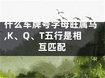 什么车牌号字母旺属马,K、Q、T五行是相互匹配