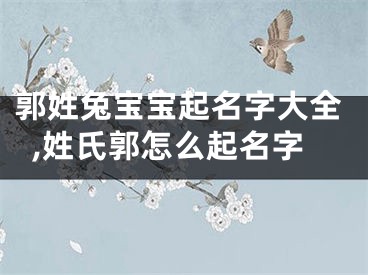 郭姓兔宝宝起名字大全,姓氏郭怎么起名字