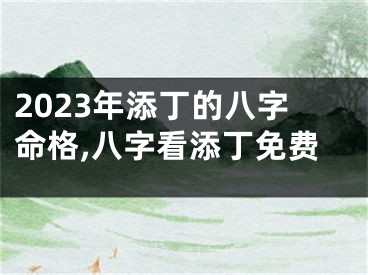 2023年添丁的八字命格,八字看添丁免费