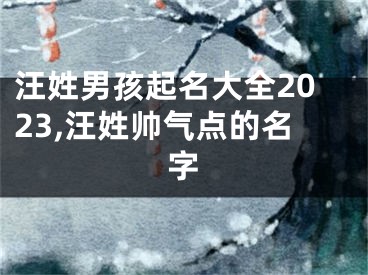 汪姓男孩起名大全2023,汪姓帅气点的名字