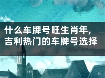 什么车牌号旺生肖年,吉利热门的车牌号选择