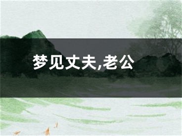 梦见丈夫,老公