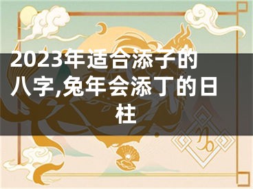 2023年适合添子的八字,兔年会添丁的日柱