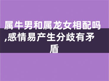 属牛男和属龙女相配吗,感情易产生分歧有矛盾