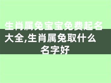 生肖属兔宝宝免费起名大全,生肖属兔取什么名字好