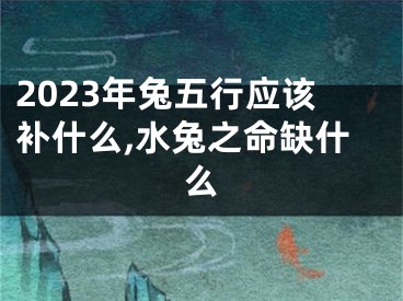 2023年兔五行应该补什么,水兔之命缺什么