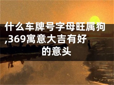 什么车牌号字母旺属狗,369寓意大吉有好的意头