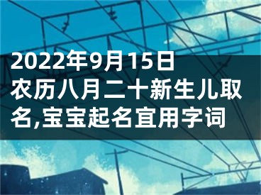 2022年9月15日农历八月二十新生儿取名,宝宝起名宜用字词