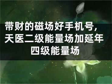 带财的磁场好手机号,天医二级能量场加延年四级能量场