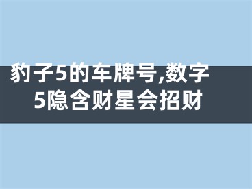 豹子5的车牌号,数字5隐含财星会招财