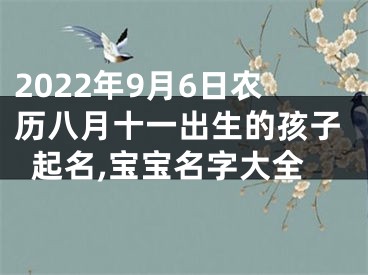 2022年9月6日农历八月十一出生的孩子起名,宝宝名字大全