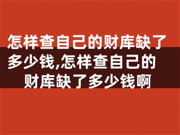 怎样查自己的财库缺了多少钱,怎样查自己的财库缺了多少钱啊