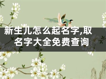 新生儿怎么起名字,取名字大全免费查询