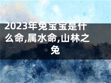 2023年兔宝宝是什么命,属水命,山林之兔