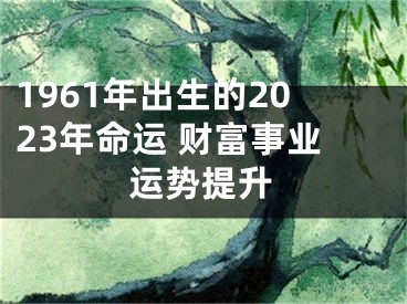 1961年出生的2023年命运 财富事业运势提升