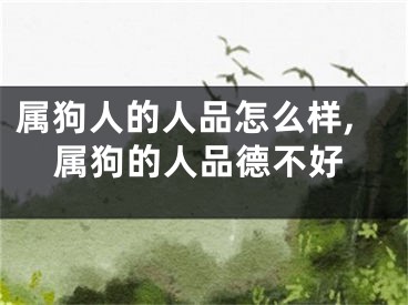 属狗人的人品怎么样,属狗的人品德不好