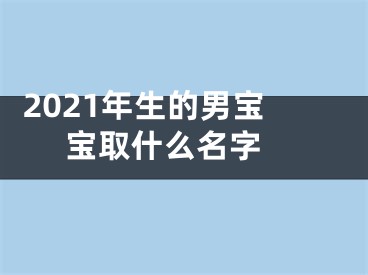  2021年生的男宝宝取什么名字 