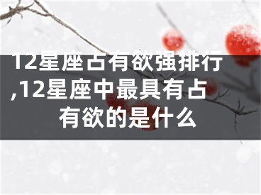 12星座占有欲强排行,12星座中最具有占有欲的是什么