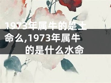 1973年属牛的是土命么,1973年属牛的是什么水命