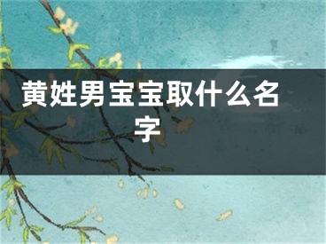  黄姓男宝宝取什么名字 