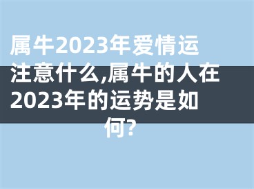 属牛2023年爱情运注意什么,属牛的人在2023年的运势是如何?