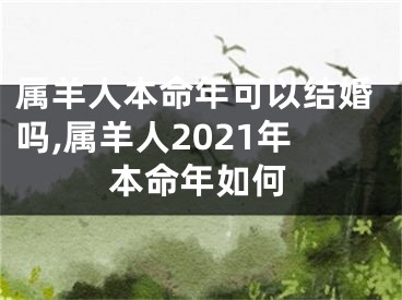 属羊人本命年可以结婚吗,属羊人2021年本命年如何