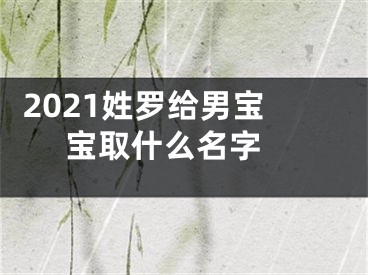  2021姓罗给男宝宝取什么名字 