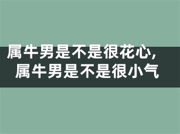 属牛男是不是很花心,属牛男是不是很小气