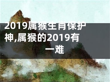 2019属猴生肖保护神,属猴的2019有一难