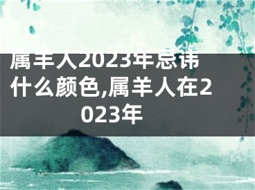 属羊人2023年忌讳什么颜色,属羊人在2023年