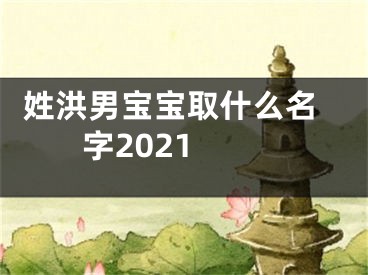  姓洪男宝宝取什么名字2021 