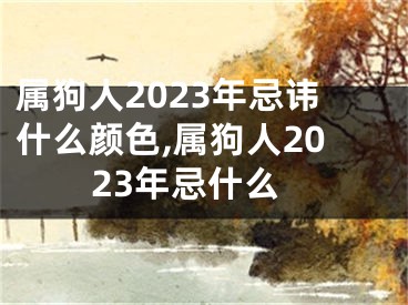 属狗人2023年忌讳什么颜色,属狗人2023年忌什么