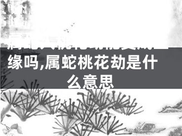 属蛇人桃花劫能变成正缘吗,属蛇桃花劫是什么意思