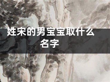  姓宋的男宝宝取什么名字 