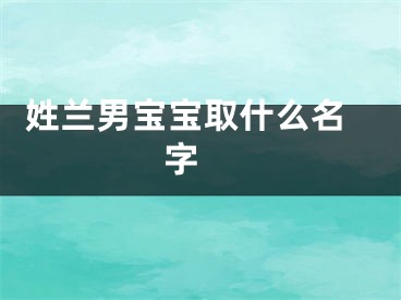  姓兰男宝宝取什么名字 