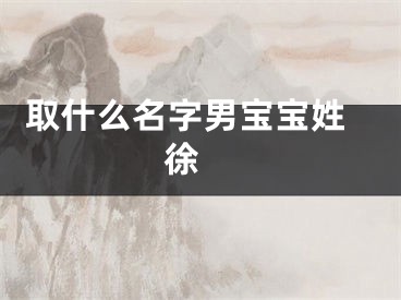  取什么名字男宝宝姓徐 