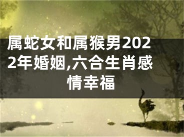 属蛇女和属猴男2022年婚姻,六合生肖感情幸福