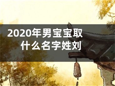  2020年男宝宝取什么名字姓刘 