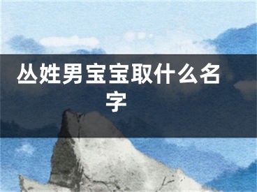  丛姓男宝宝取什么名字 