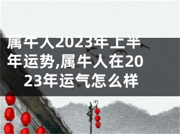 属牛人2023年上半年运势,属牛人在2023年运气怎么样