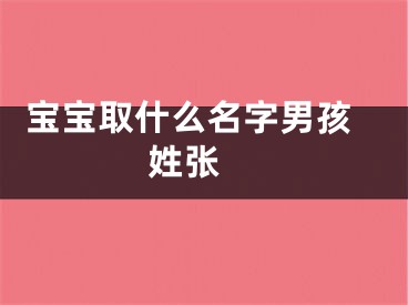  宝宝取什么名字男孩姓张 