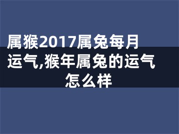 属猴2017属兔每月运气,猴年属兔的运气怎么样