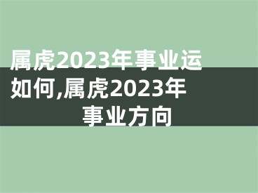 属虎2023年事业运如何,属虎2023年事业方向