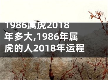 1986属虎2018年多大,1986年属虎的人2018年运程